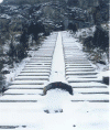 ls1401.gif (102784 ֽ)