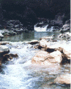 ls1402.gif (72539 ֽ)