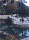 ls6.gif (79546 ֽ)