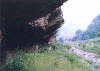 ls7.gif (102623 ֽ)