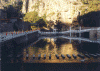 ls9.gif (120082 ֽ)