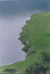 qx1302.gif (269451 ֽ)