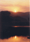 qx2.gif (155452 ֽ)
