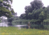 qx9.gif (191281 ֽ)